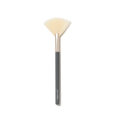 Fan Brush