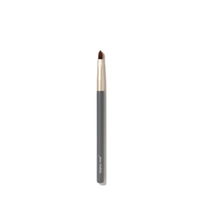 Lip Brush